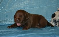 Фотография Козыревой Виолетты