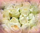 Nick Chmir фотография #6 (источник - https://vk.com/id10178589)