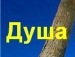 Єва Добровольская фотография #35 (источник - https://vk.com/id104993414)