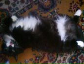 Фотография Грибовой Анастасии