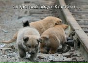 Фотография Пендюк Ирины