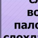 Ірусічка Ліпінська фотография #29 (источник - https://vk.com/id152990329)