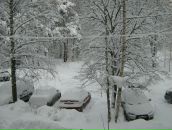 Фотография Рубанова Демашиной Натальи