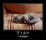 Фотография Vasilkova Anna