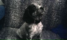 Фотография Варламовой Лилии