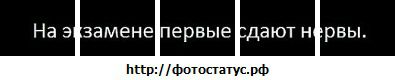 Сергій Марченко фотография #18 (источник - https://vk.com/id134335093)