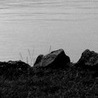 Лизусик _ фотография #11 (источник - https://vk.com/id149163292)