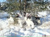 Дмитрий Булаёв фотография #36 (источник - https://vk.com/id52603333)