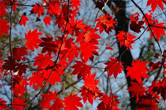 Сергей Скамьянов фотография #34