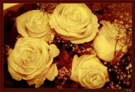 Фотография Дурникова Ильи