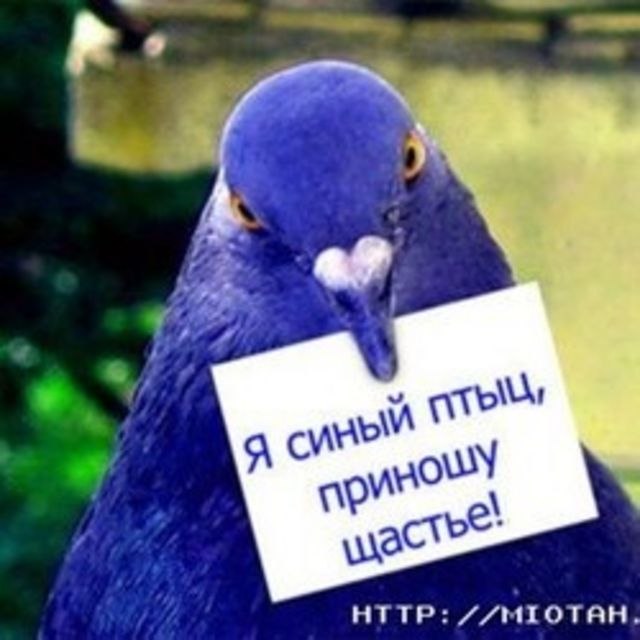 Валентин Плотников фотография #4