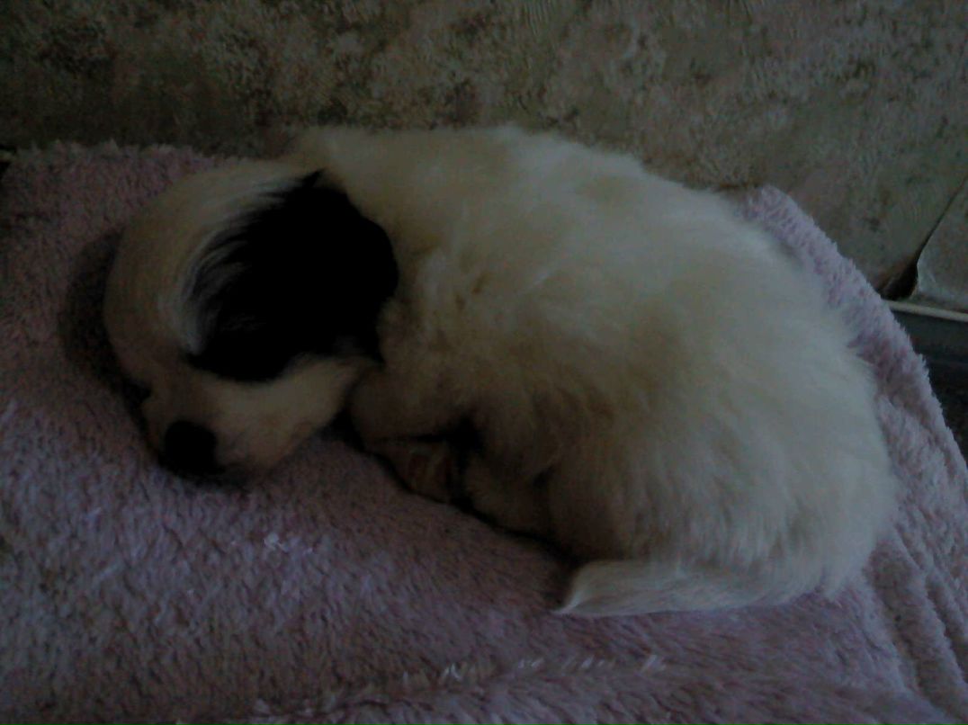 Павел Горбатенко фотография #32