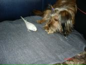 Иван Андреев фотография #22 (источник - https://vk.com/id2534545)