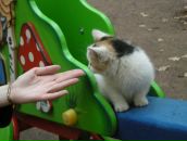 Фотография Баженовой Екатерины