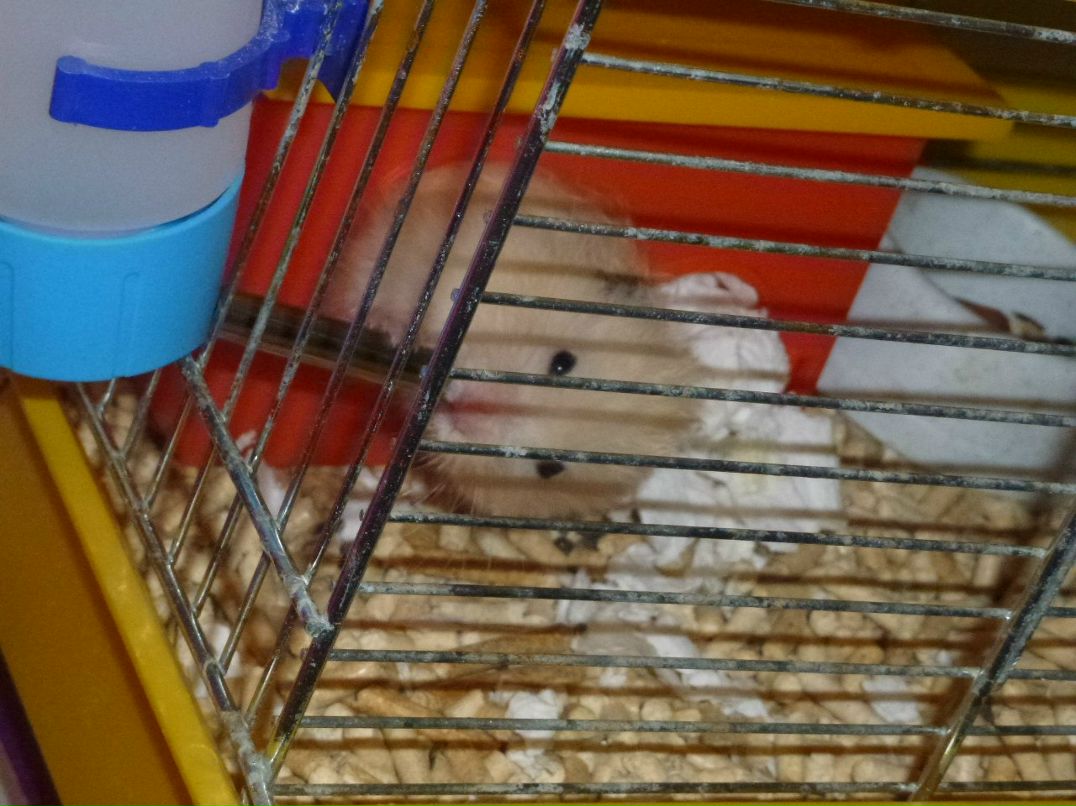 Артем Иванов фотография #20