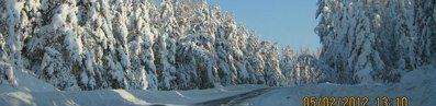 Коля Луців фотография #18 (источник - https://vk.com/id66166396)