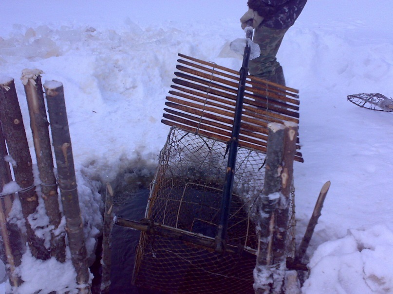 Иван Нефедьев фотография #42