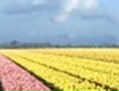 Аня Хасанова фотография #16 (источник - https://vk.com/id231013)