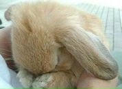 Фотография Щегликовой Надежды