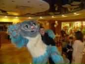 Фотография Пакеева Александра