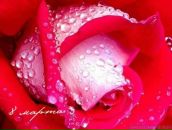 Фотография Исмагиловой Людмилы