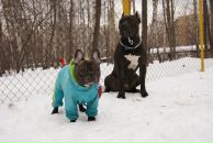 Фотография Мсккино Юлии