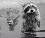 Фотография Жилинской Ольги