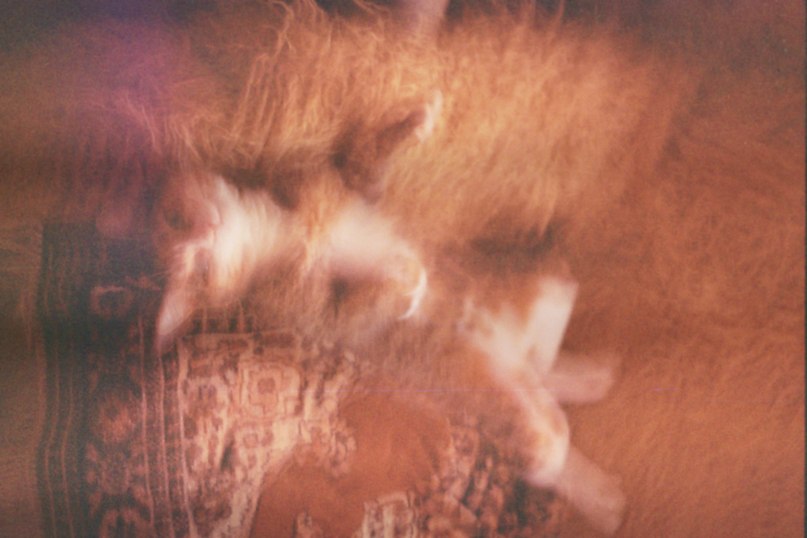 Артём Тимофеев фотография #18