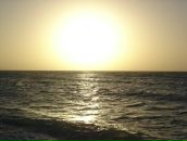 Фотография Намесникова Артема