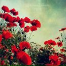 Таня Пінчук фотография #12 (источник - https://vk.com/id28349700)