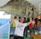 Фотография Скорюкова Евгения