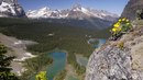 Андрій Галушка фотография #11 (источник - https://vk.com/id151015516)