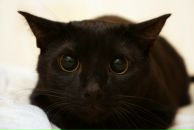 Фотография Никонорова Андрея