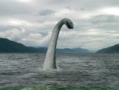 Фотография Юдиной Светланы