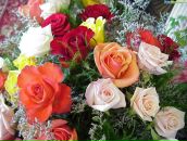 Фотография Никитиной Анастасии