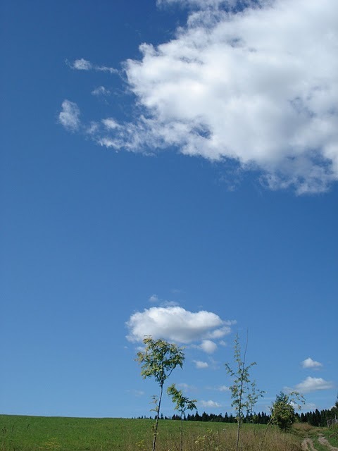 Дмитрий Шаравьёв фотография #47