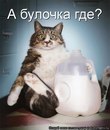 Степан Гінда фотография #9 (источник - https://vk.com/id158897191)
