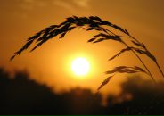 Фотография Петровой Ирины