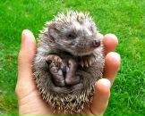 Фотография Беляниной Лизы