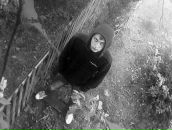 Фотография Кондратенкова Никиты