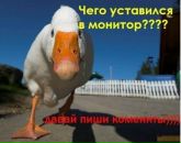 Наталія Сікора фотография #35 (источник - https://vk.com/id60600780)