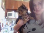 Фотография Савушкиной Кристины