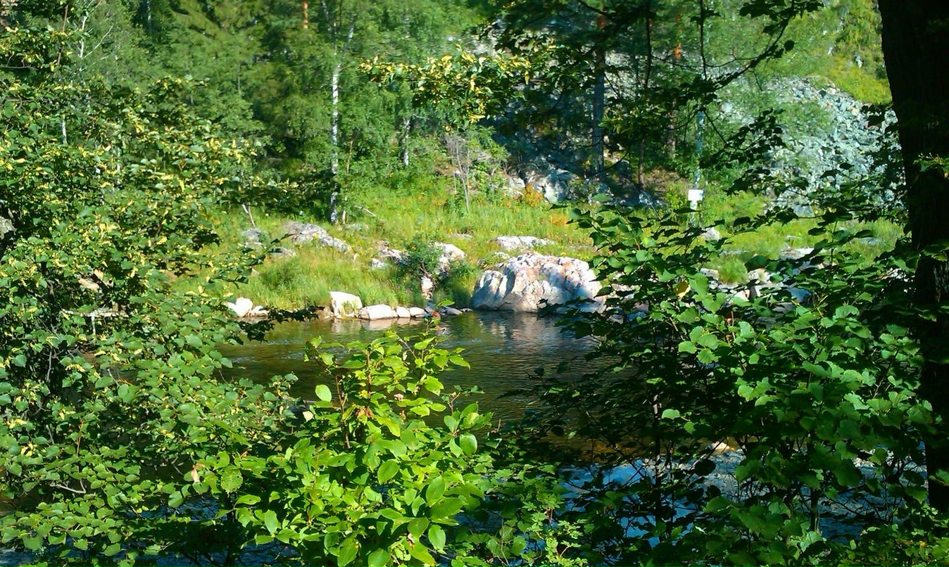 Антон Морозов фотография #25