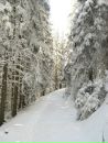 Андрій Когут фотография #21 (источник - https://vk.com/id8994004)