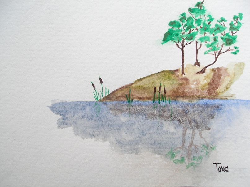 Тоха Тоха фотография #24