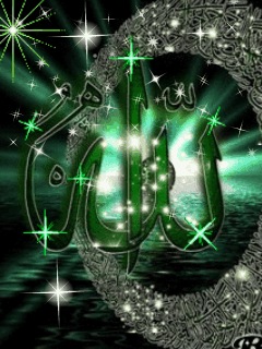 №2, Aysel Raqimova №2, Aysel Raqimova