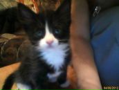 Anny Ru фотография #23 (источник - https://vk.com/id2726430)