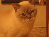 Фотография Самсоновой Кати