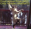 Фотография Ландарской Хельги