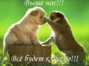 Фотография Сосенковой Светланы